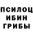 Псилоцибиновые грибы Psilocybine cubensis Nasrin Mokhtar