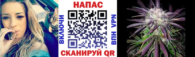 Каннабис гибрид  Юрьев-Польский 